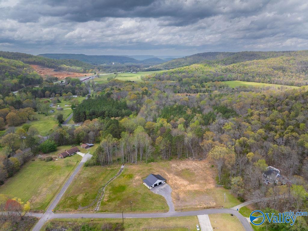 55 Hill Drive, Grant, Alabama image 6