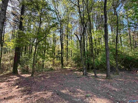Vacant Land For Sale - PIN 35708 Tee Jay Drive<br/> Huntsville, AL 35810