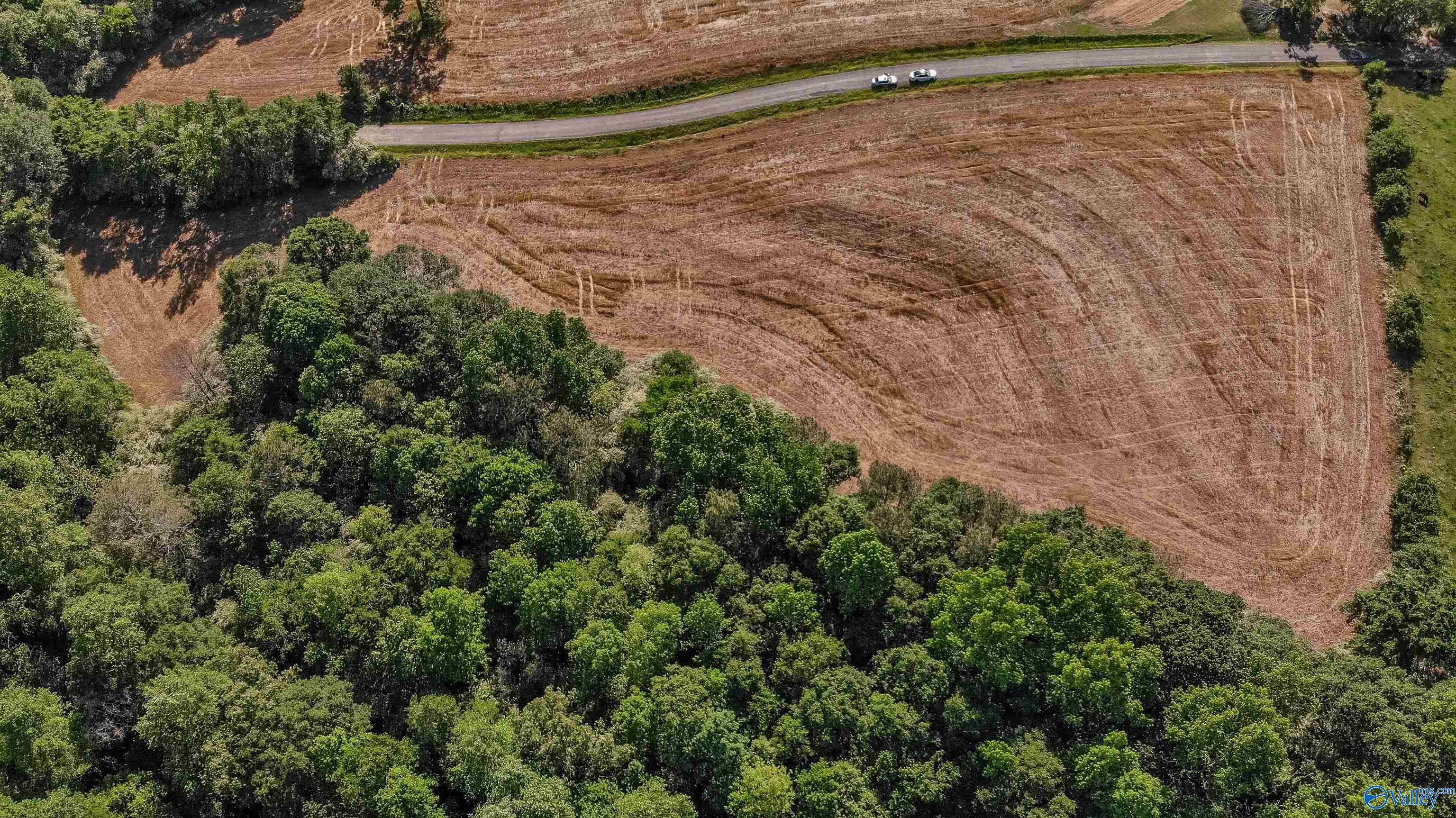 Lot 1 Hill Road, Horton, Alabama image 3