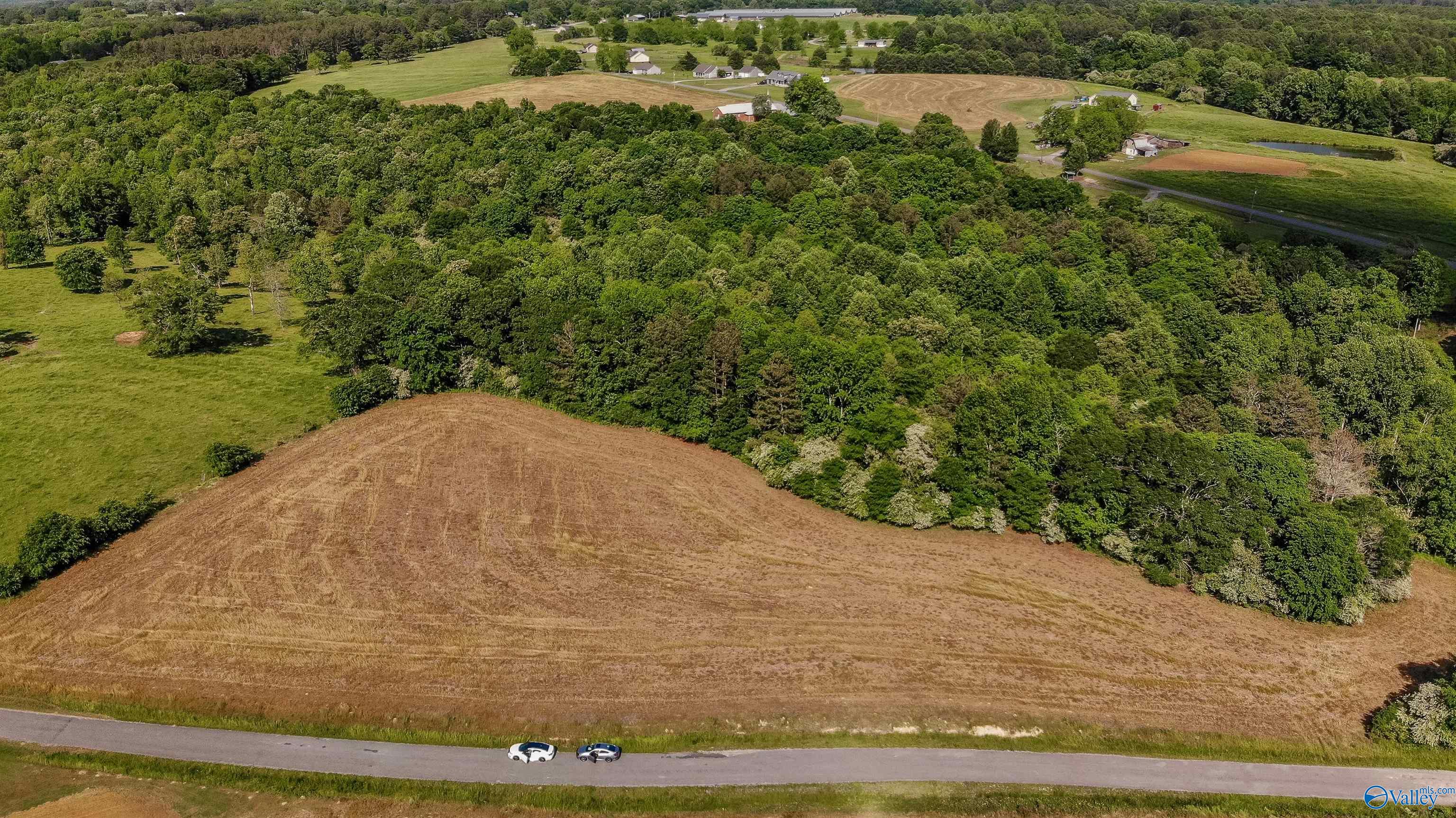 Lot 1 Hill Road, Horton, Alabama image 8