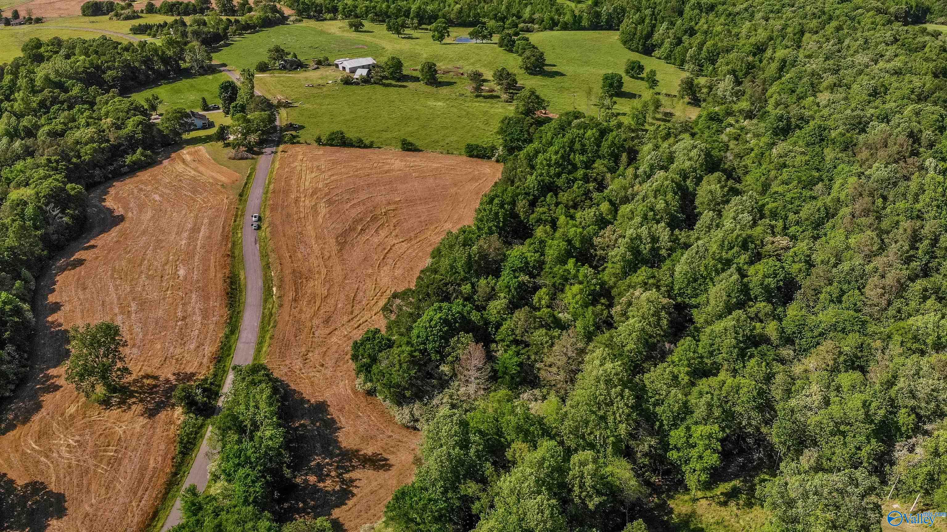 Lot 1 Hill Road, Horton, Alabama image 7