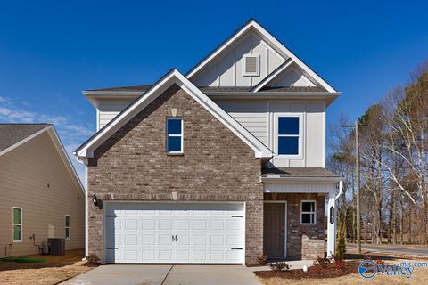Homes For Sale - 1132 Tanger Glen Trail<br/> Harvest, AL 35749