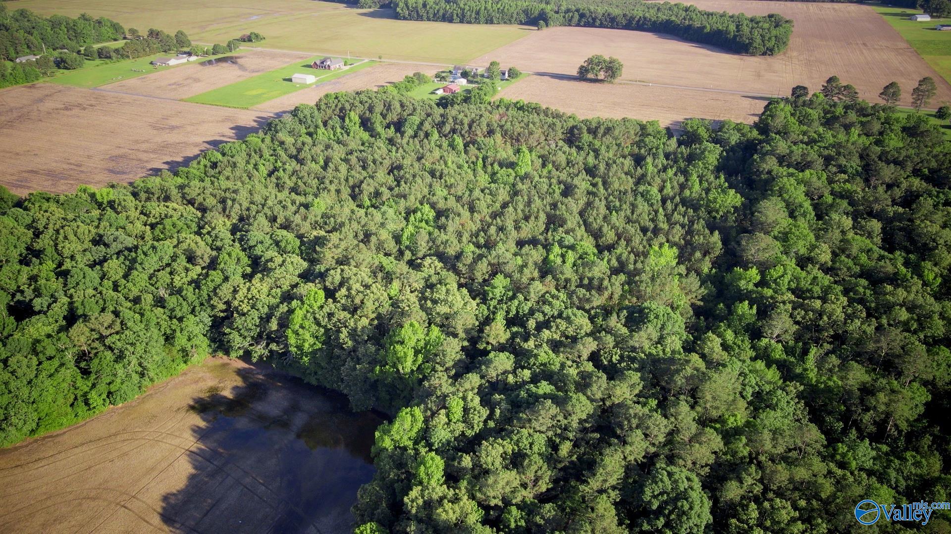 24 Acres Sewell Road, Athens, Alabama image 4