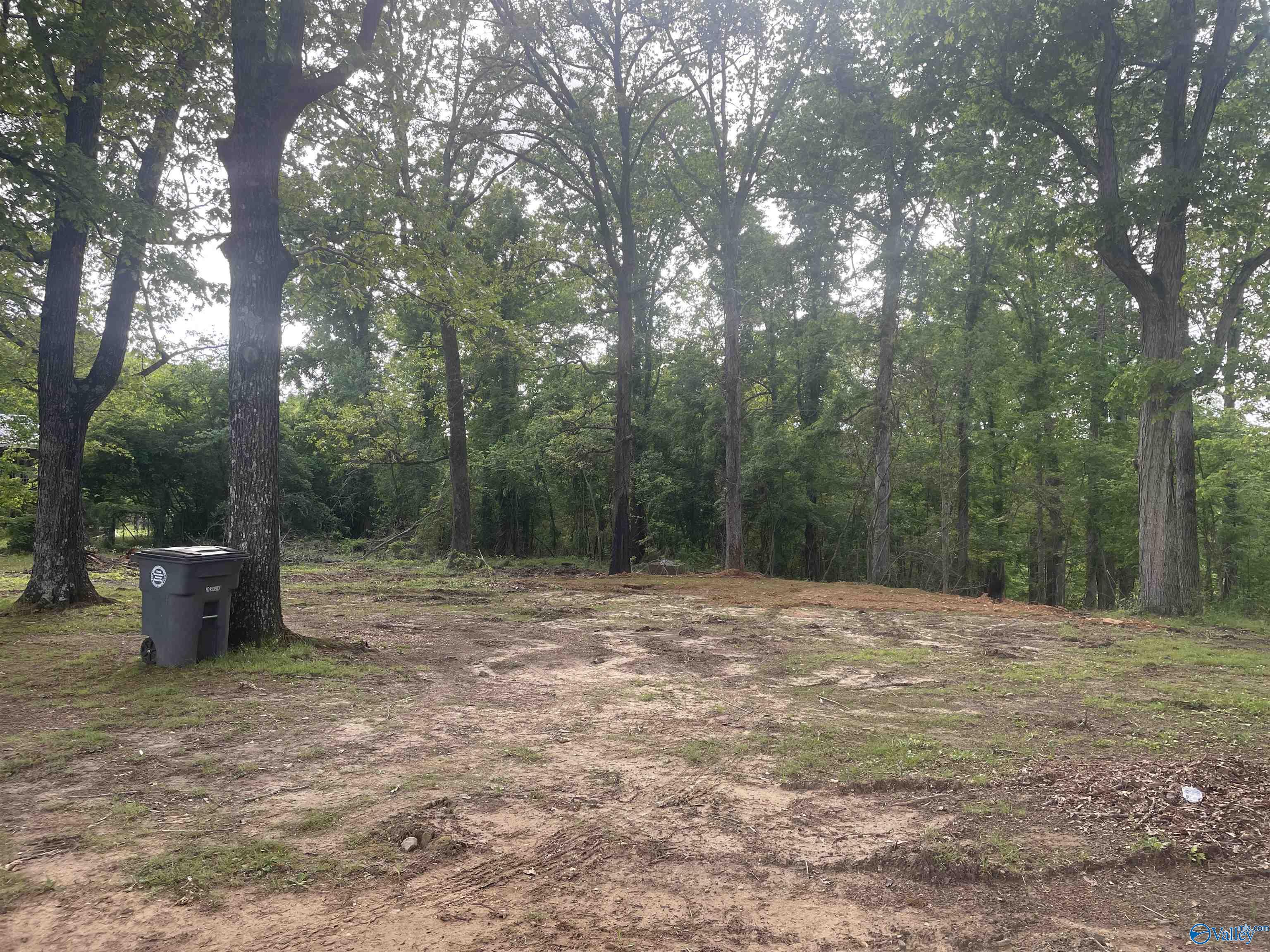 18943 Al Hwy 33, Moulton, Alabama image 8