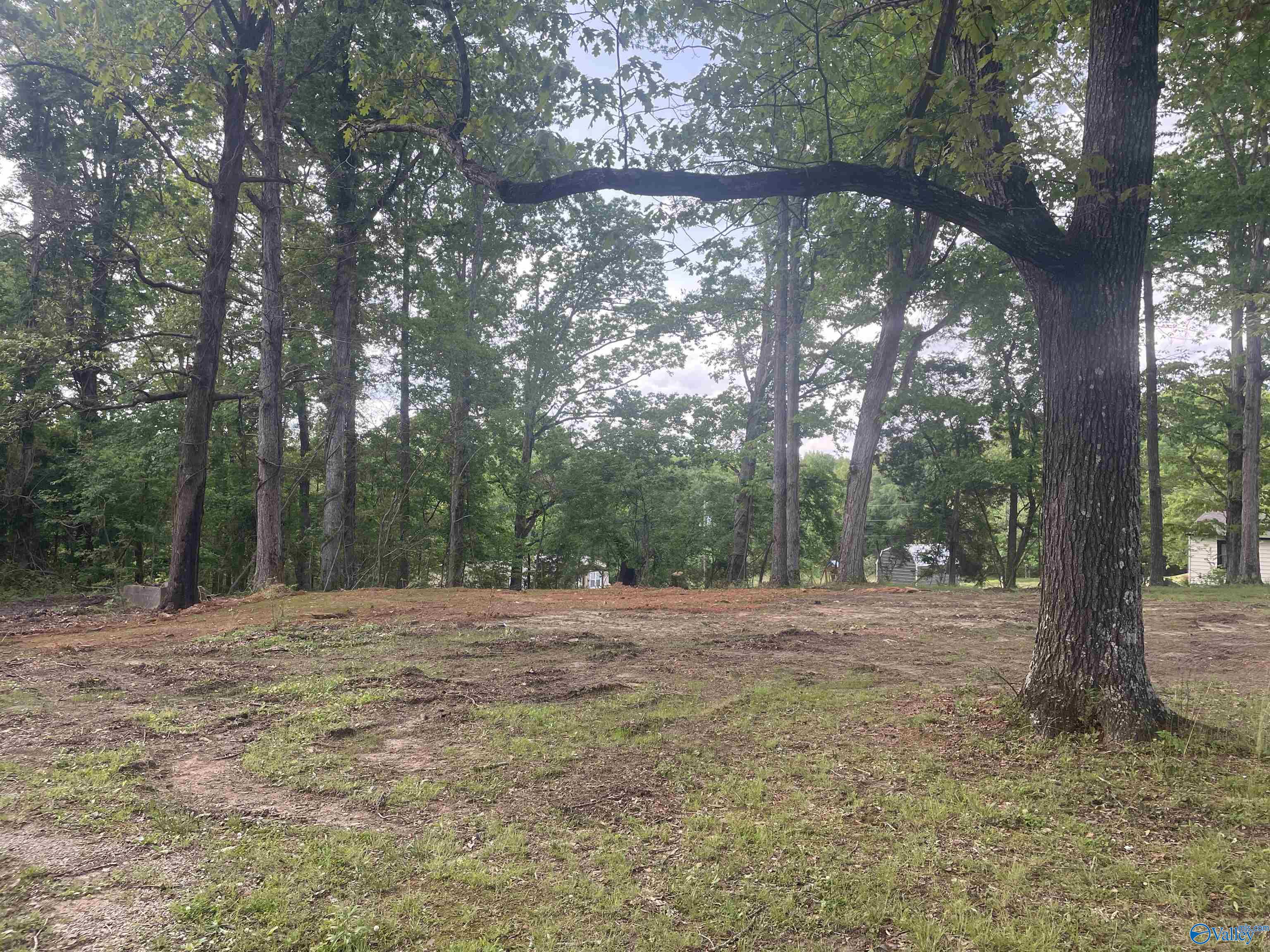 18943 Al Hwy 33, Moulton, Alabama image 1