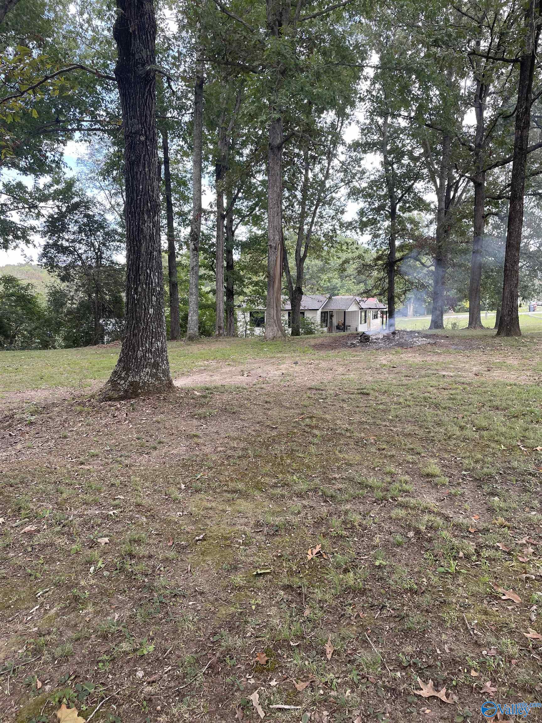 18943 Al Hwy 33, Moulton, Alabama image 9