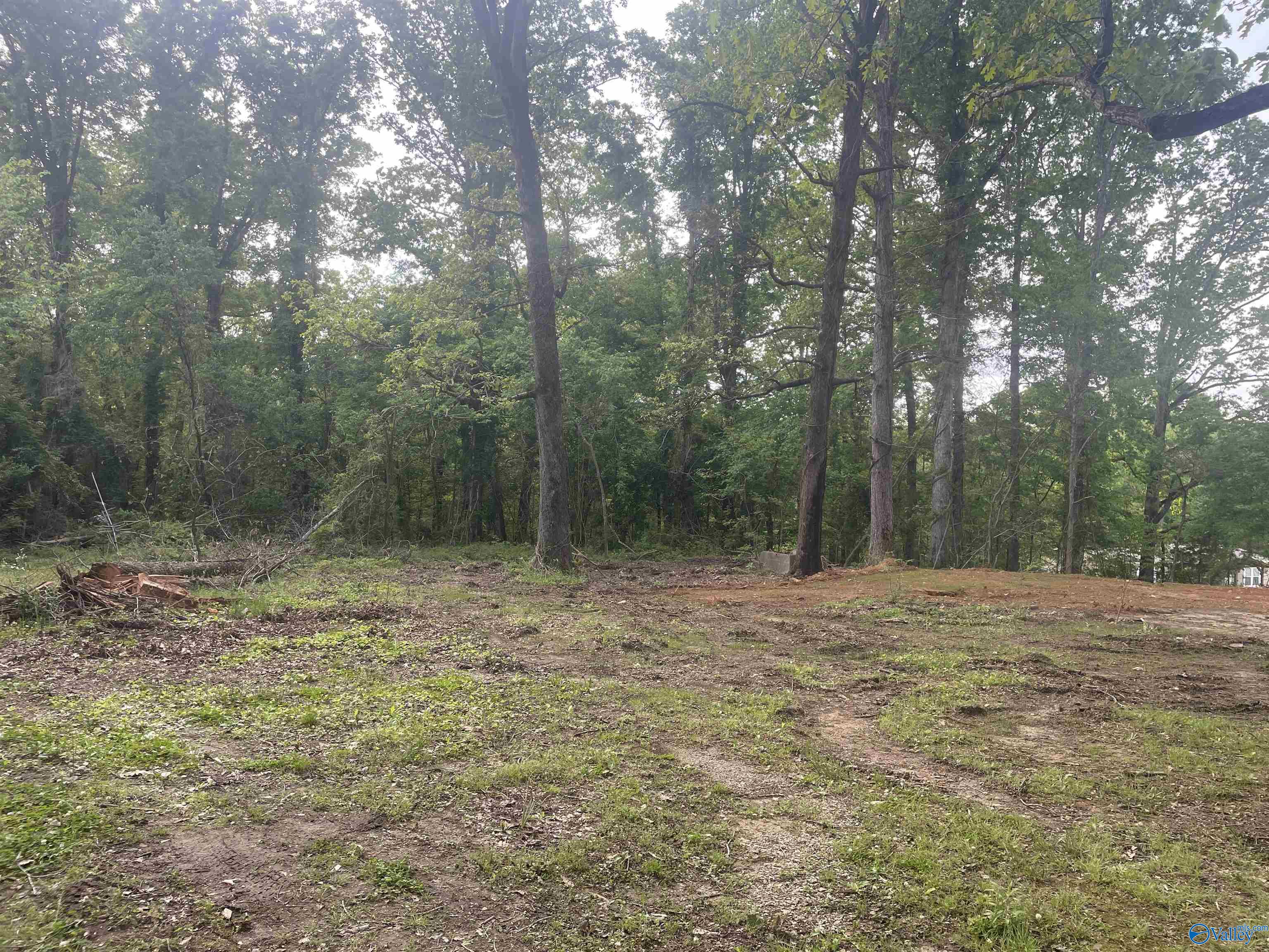 18943 Al Hwy 33, Moulton, Alabama image 9
