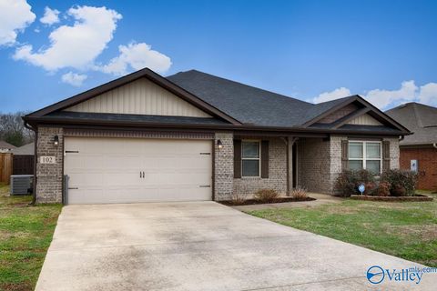 Homes For Sale - 102 Hulsey Lane<br/> Toney, AL 35773