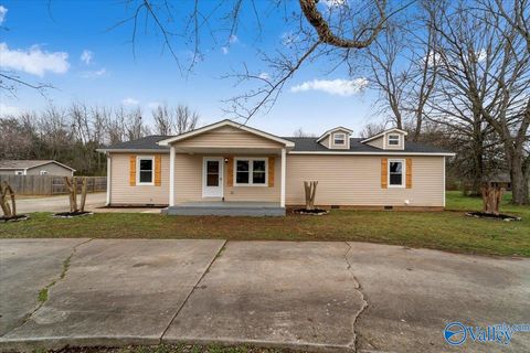 Photo of 117 Mandy Drive, Hazel Green, AL 35750 (MLS # 21911377)