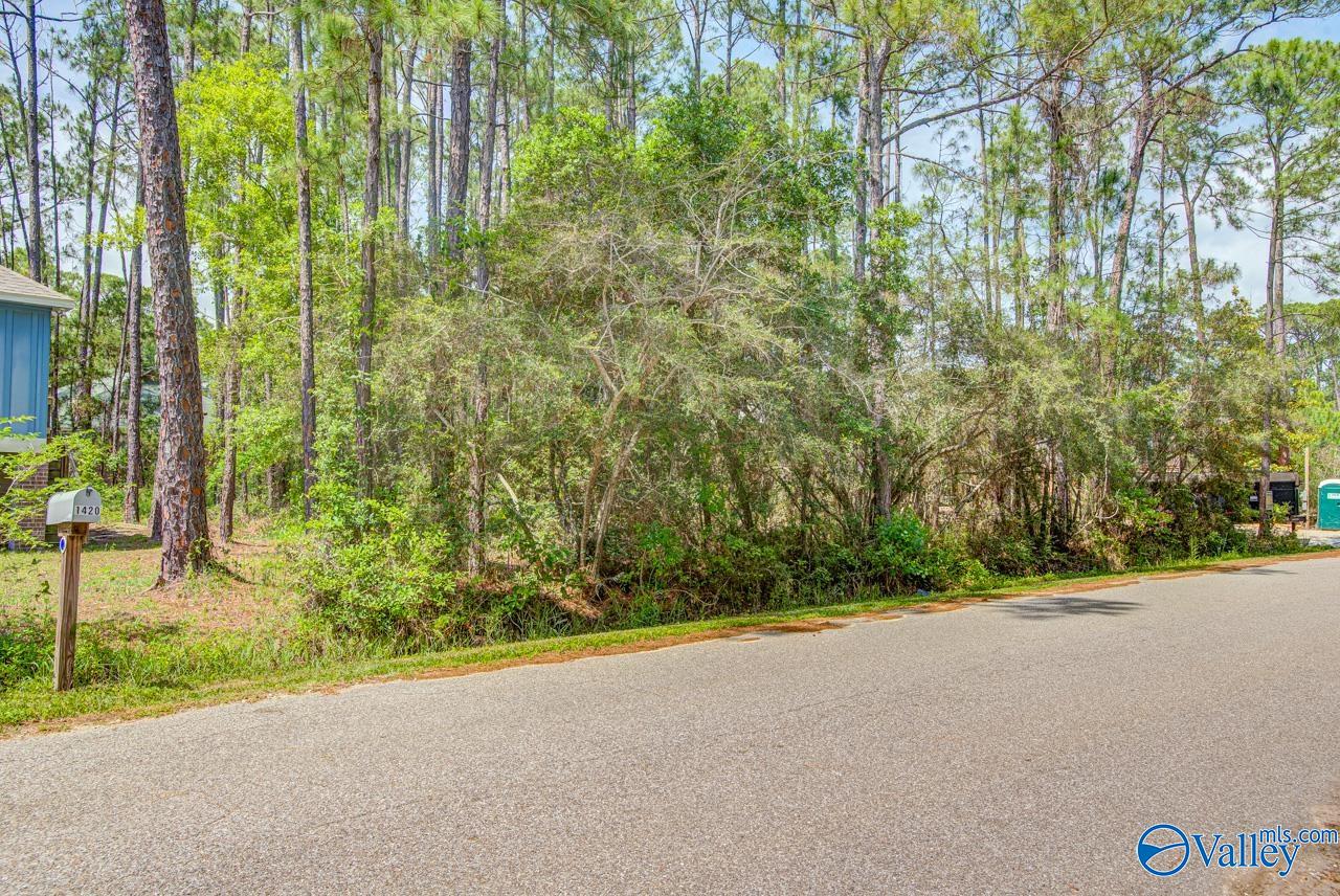 1418 Ohara Lane, Dauphin Island, Alabama image 9