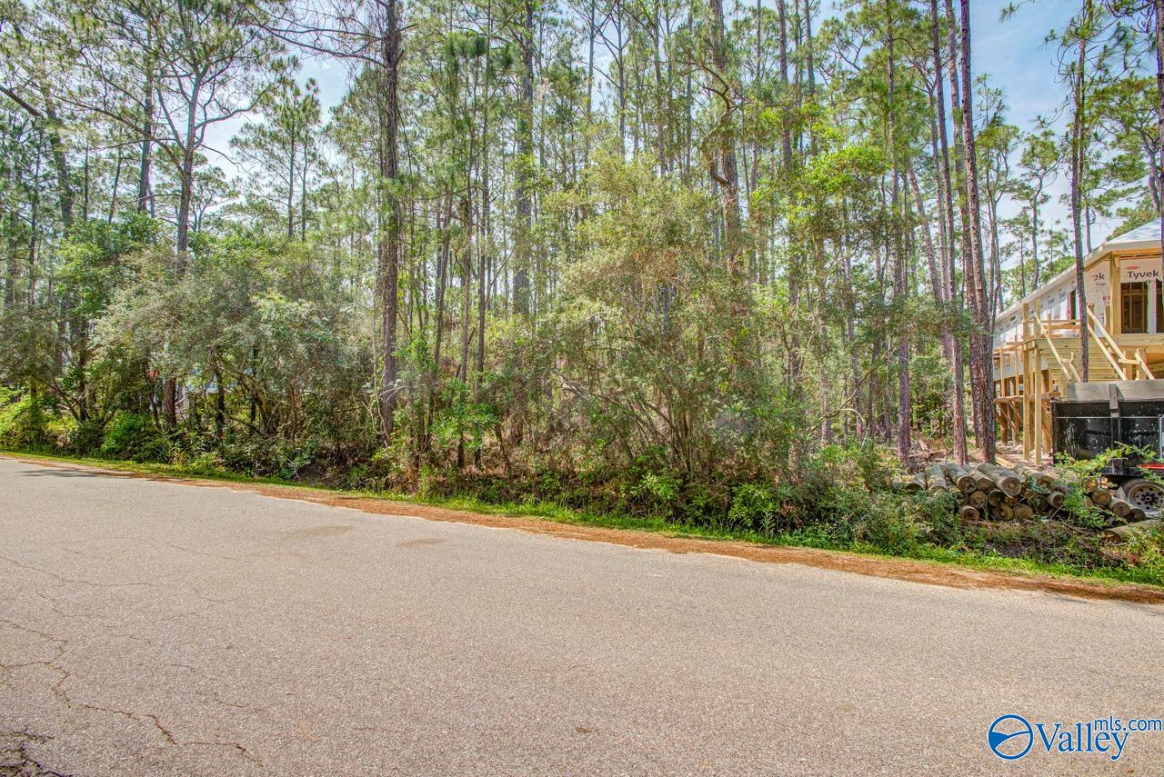 1418 Ohara Lane, Dauphin Island, Alabama image 6