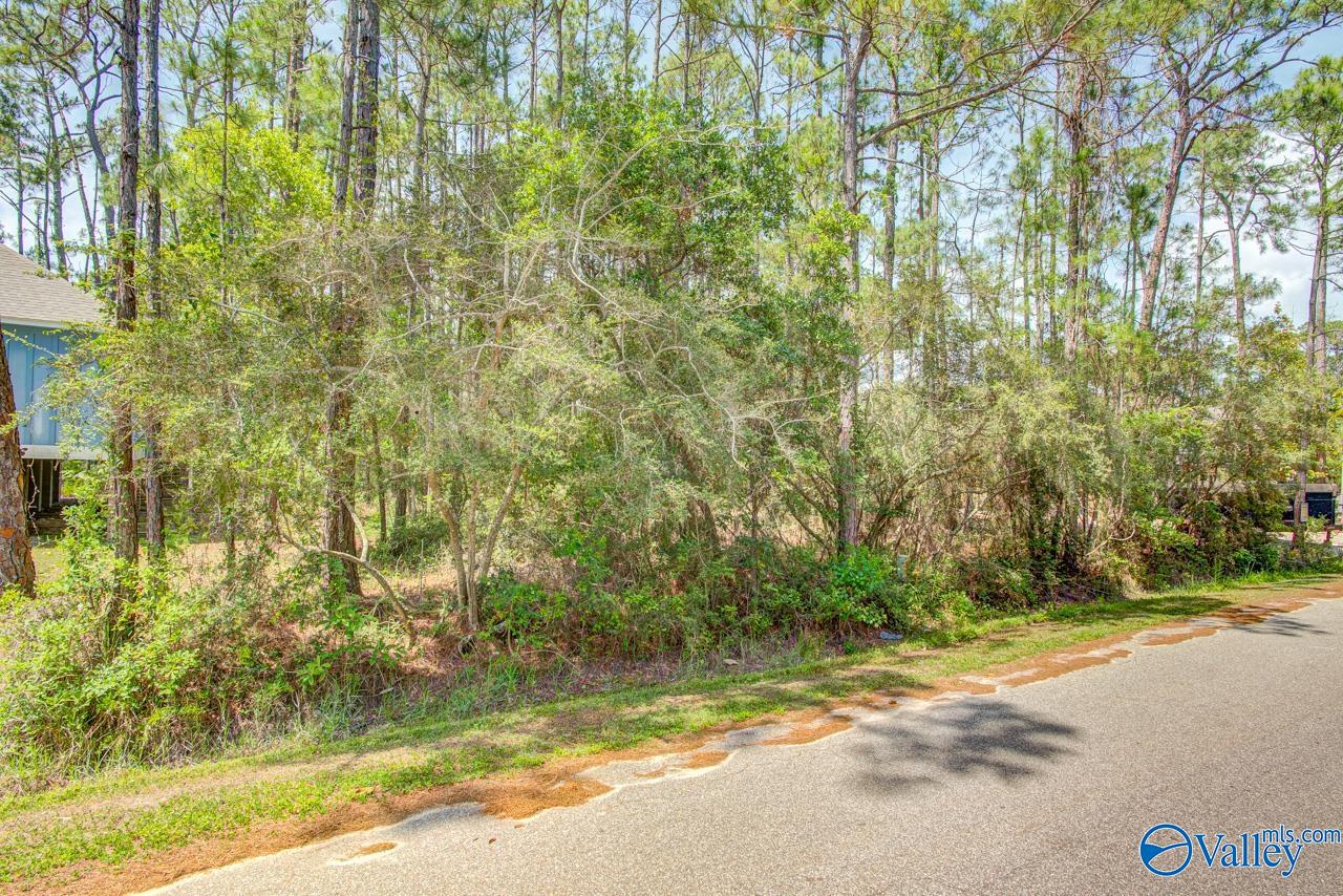 1418 Ohara Lane, Dauphin Island, Alabama image 5
