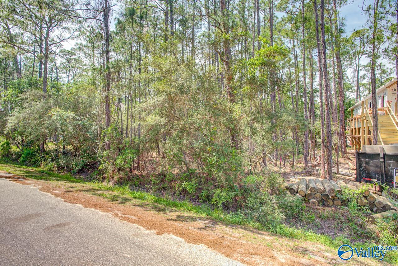 1418 Ohara Lane, Dauphin Island, Alabama image 3