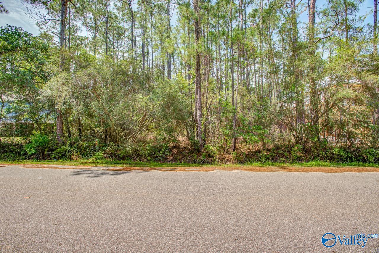 1418 Ohara Lane, Dauphin Island, Alabama image 7