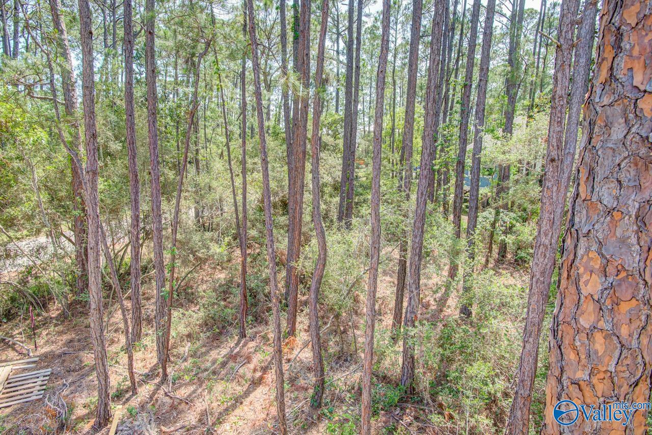 1418 Ohara Lane, Dauphin Island, Alabama image 10