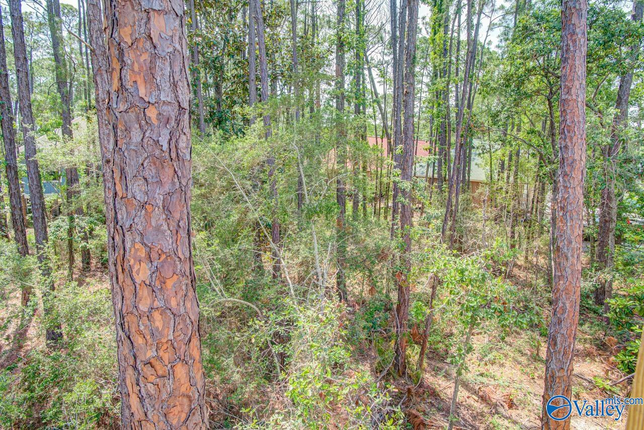 1418 Ohara Lane, Dauphin Island, Alabama image 11