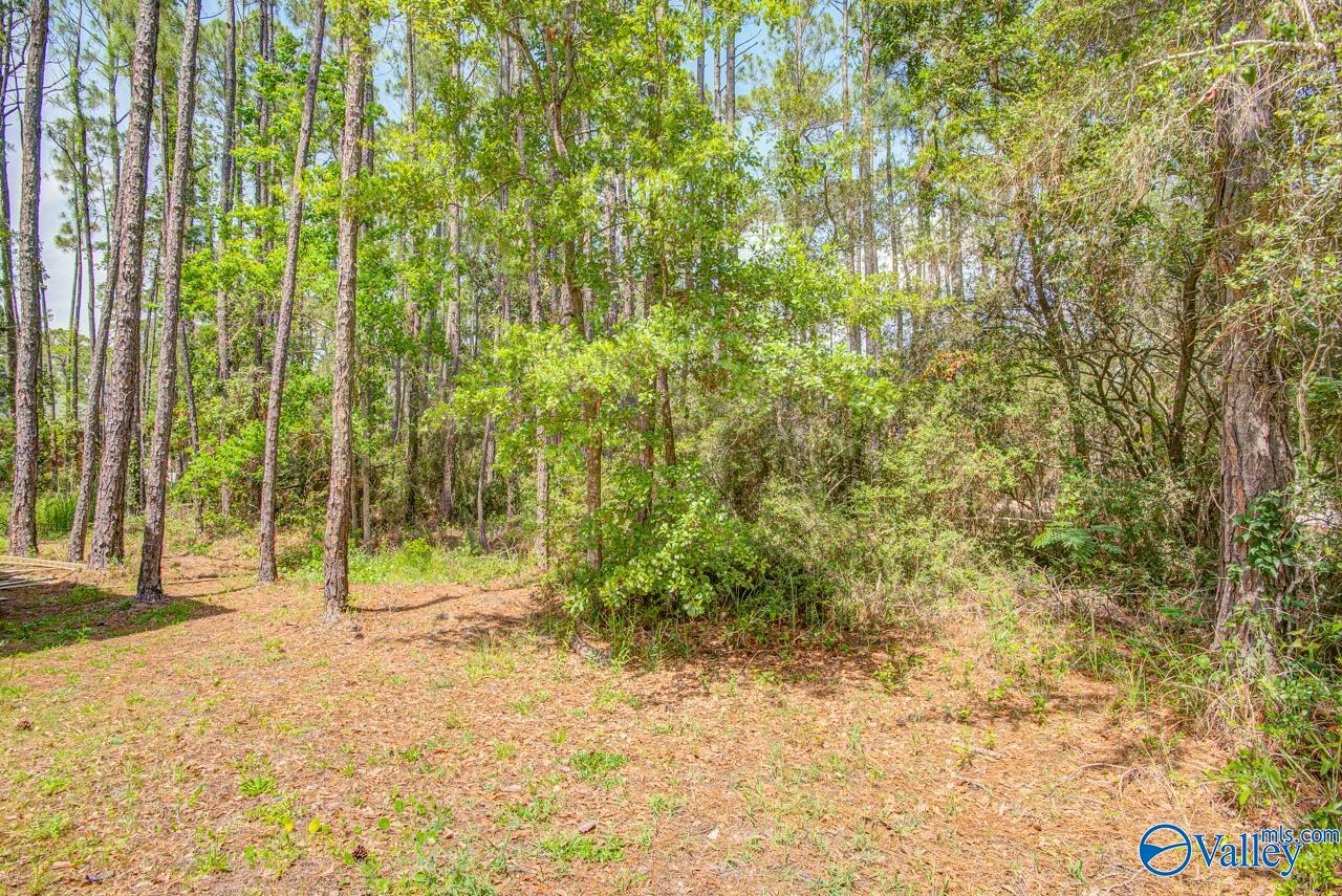 1418 Ohara Lane, Dauphin Island, Alabama image 8
