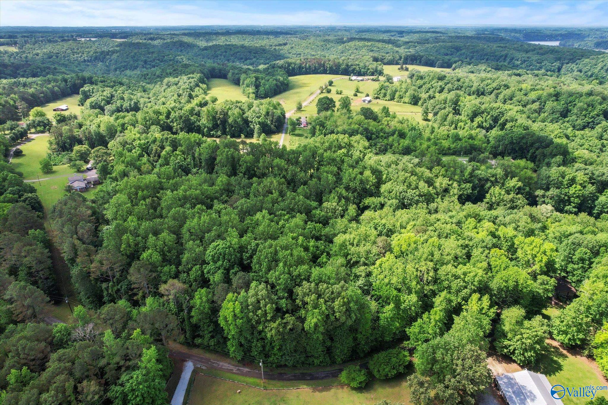 2.62 Acres Riverview Drive, Athens, Alabama image 16