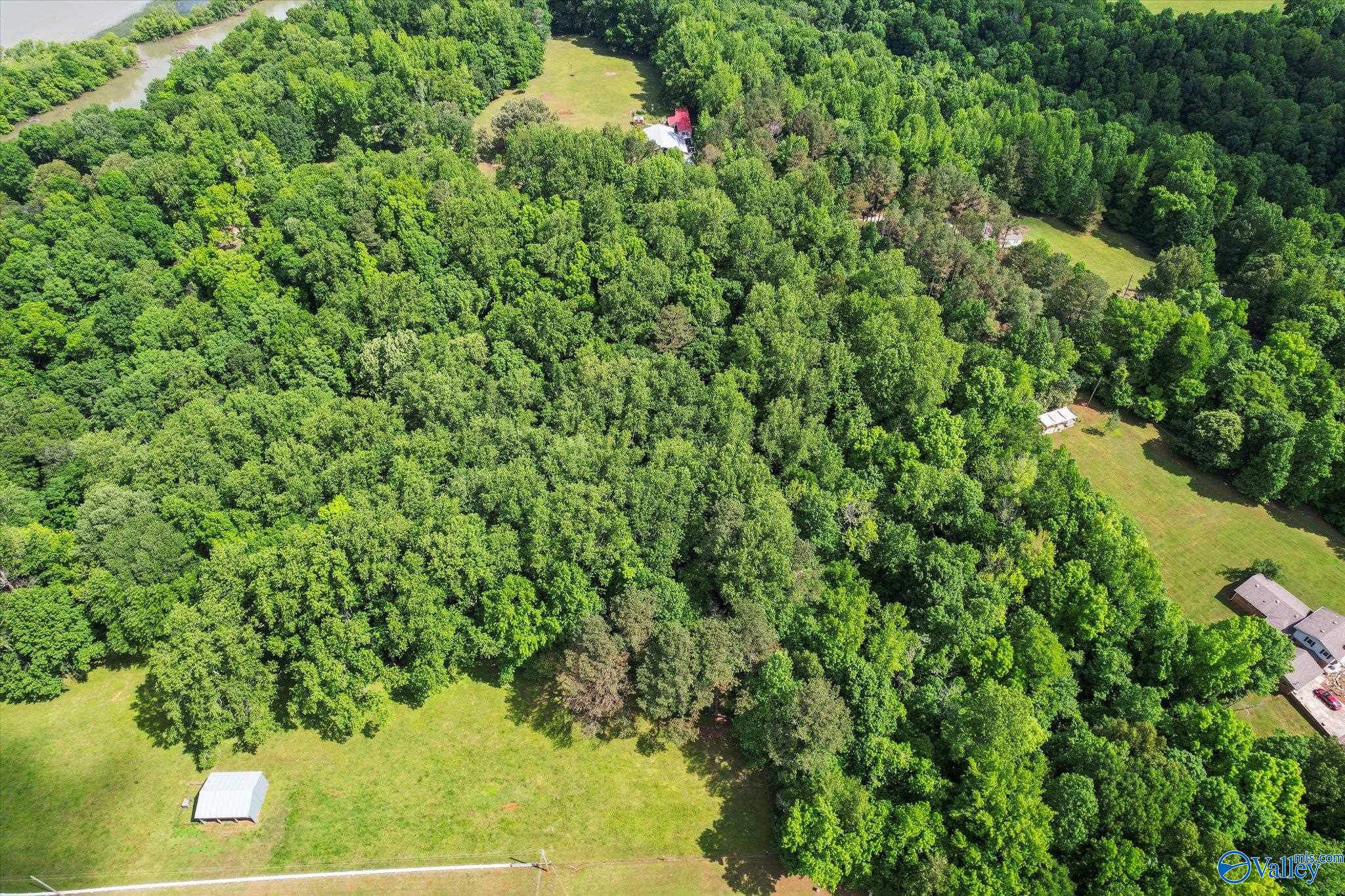 2.62 Acres Riverview Drive, Athens, Alabama image 9