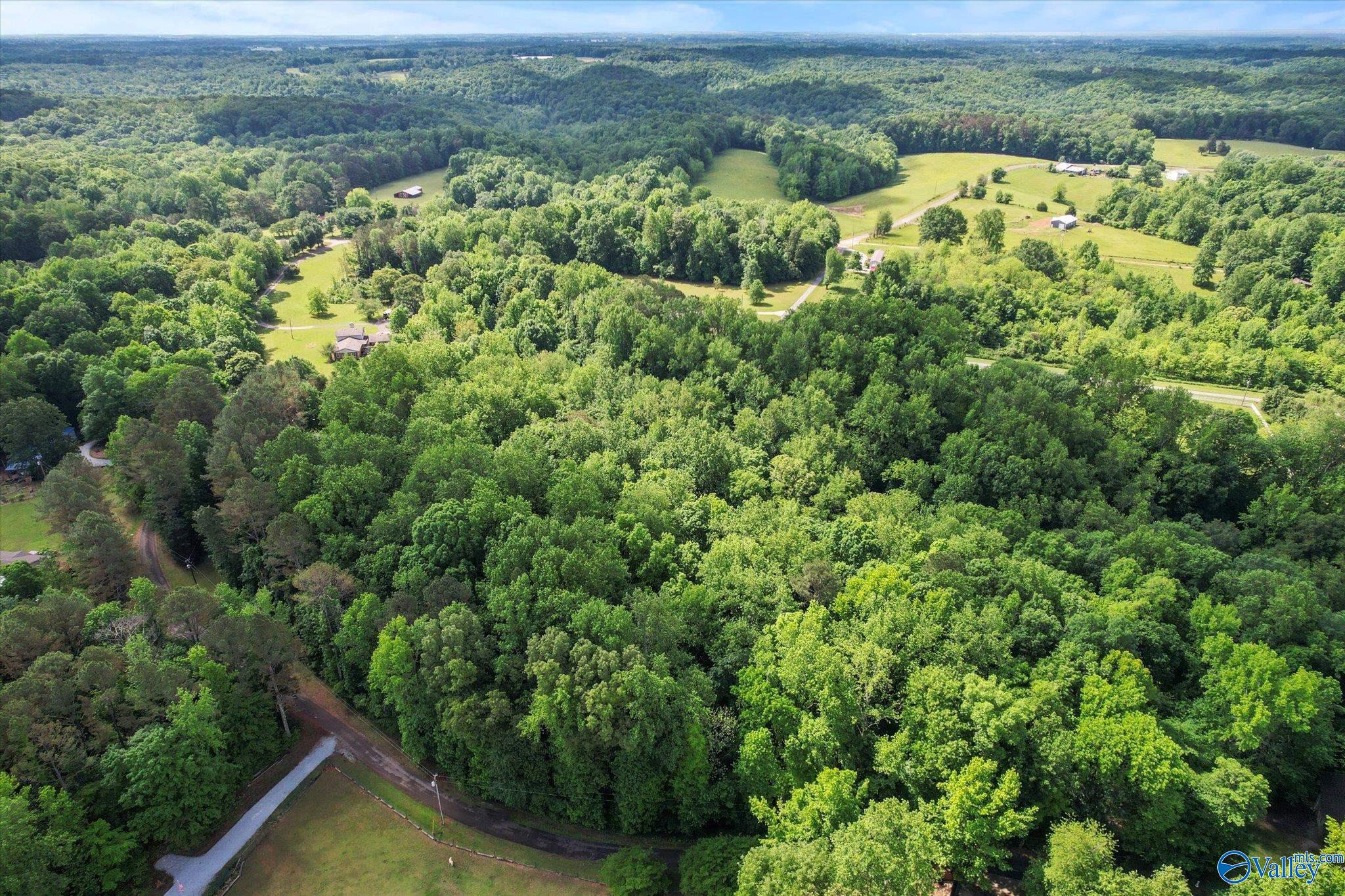 2.62 Acres Riverview Drive, Athens, Alabama image 4