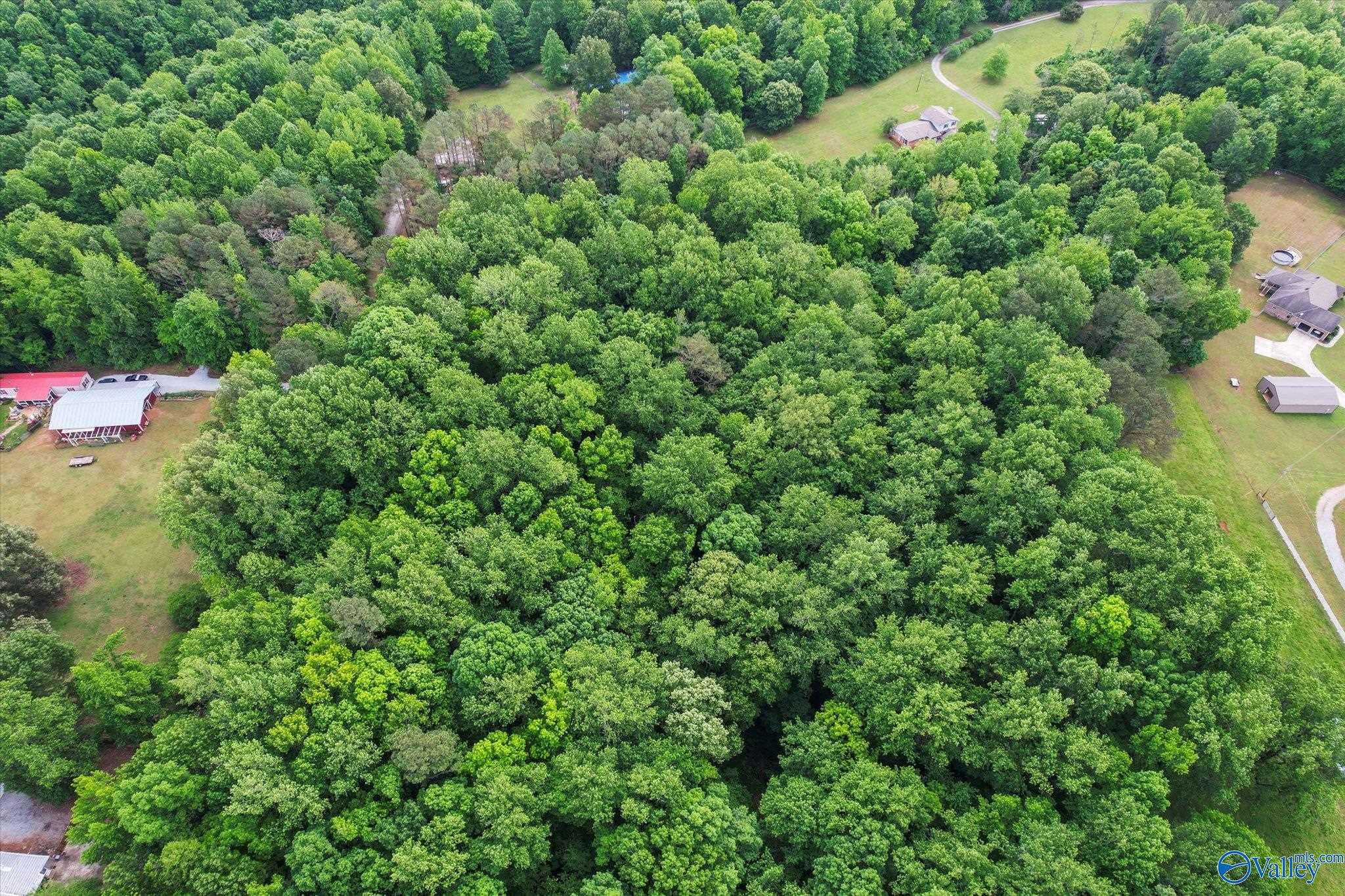2.62 Acres Riverview Drive, Athens, Alabama image 17