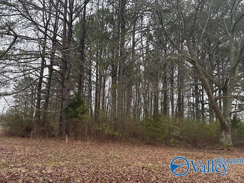 Vacant Land For Sale - LOT 1 South Road<br/> Limestone County, Athens, AL 35613