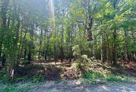Vacant Land For Sale - 24 County Road 1011 #24,29-31<br/> Cherokee County, Centre, AL 35960