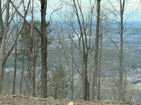 Vacant Land For Sale - 14040 Monte Vedra Road<br/> Huntsville, AL 35803
