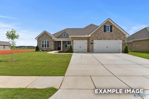 Homes For Sale - 137 Sniper Street<br/> Toney, AL 35773