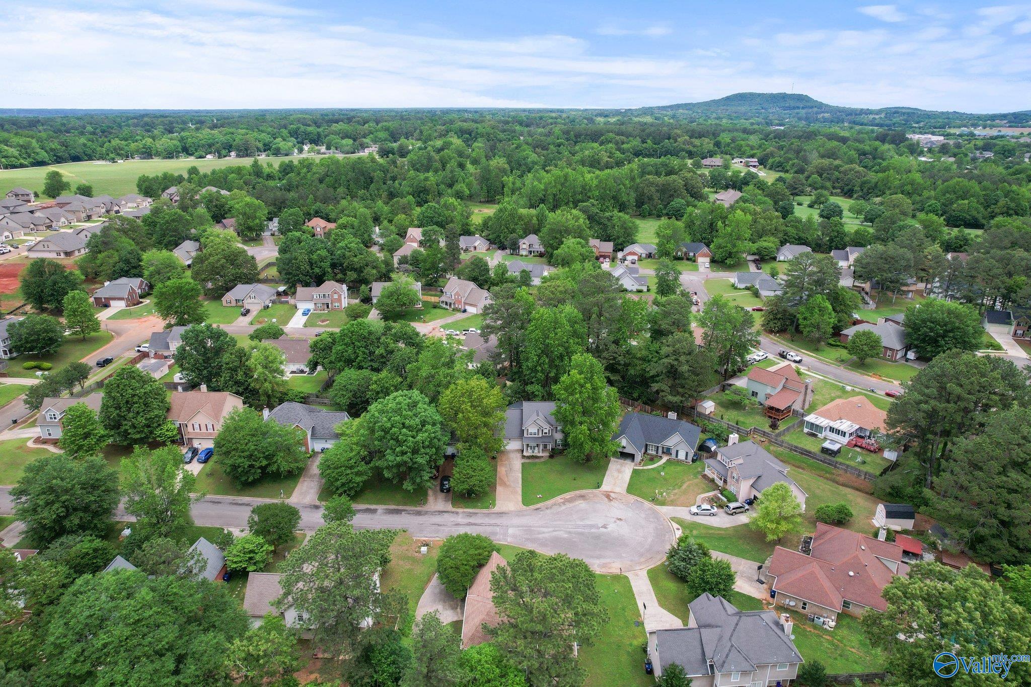 161 Dartmouth Drive, Madison, Alabama image 46