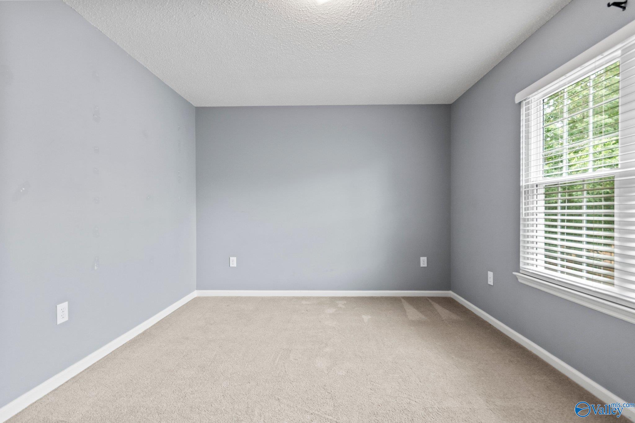 161 Dartmouth Drive, Madison, Alabama image 36