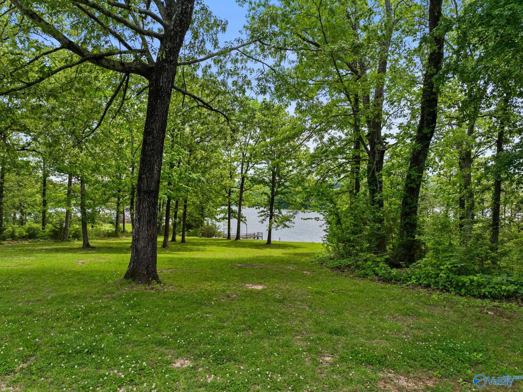 158 Mackay Road, Russellville, Alabama image 38