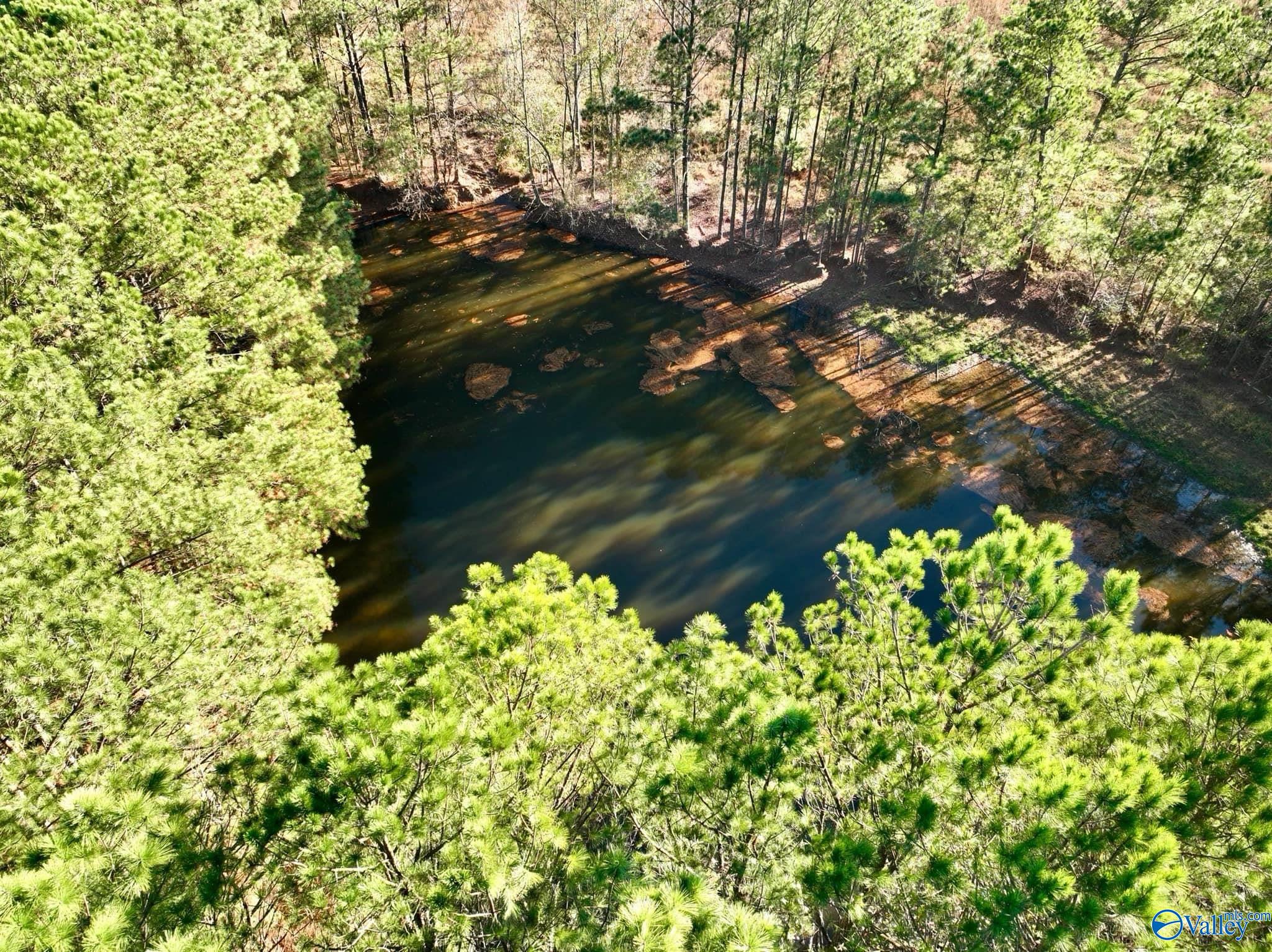 5 Acres Pleasant Hill Church Road, Boaz, Alabama image 8