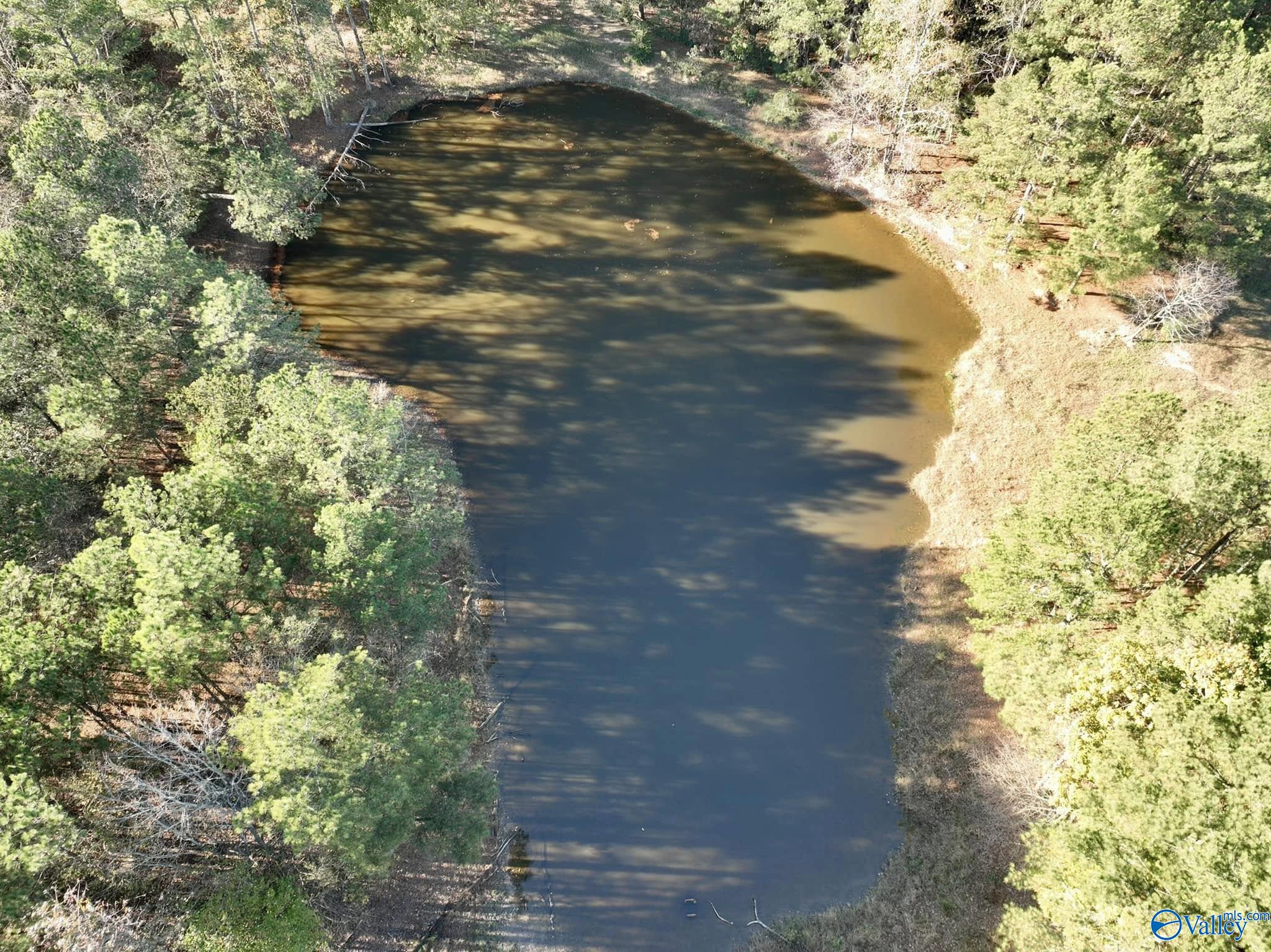 5 Acres Pleasant Hill Church Road, Boaz, Alabama image 4