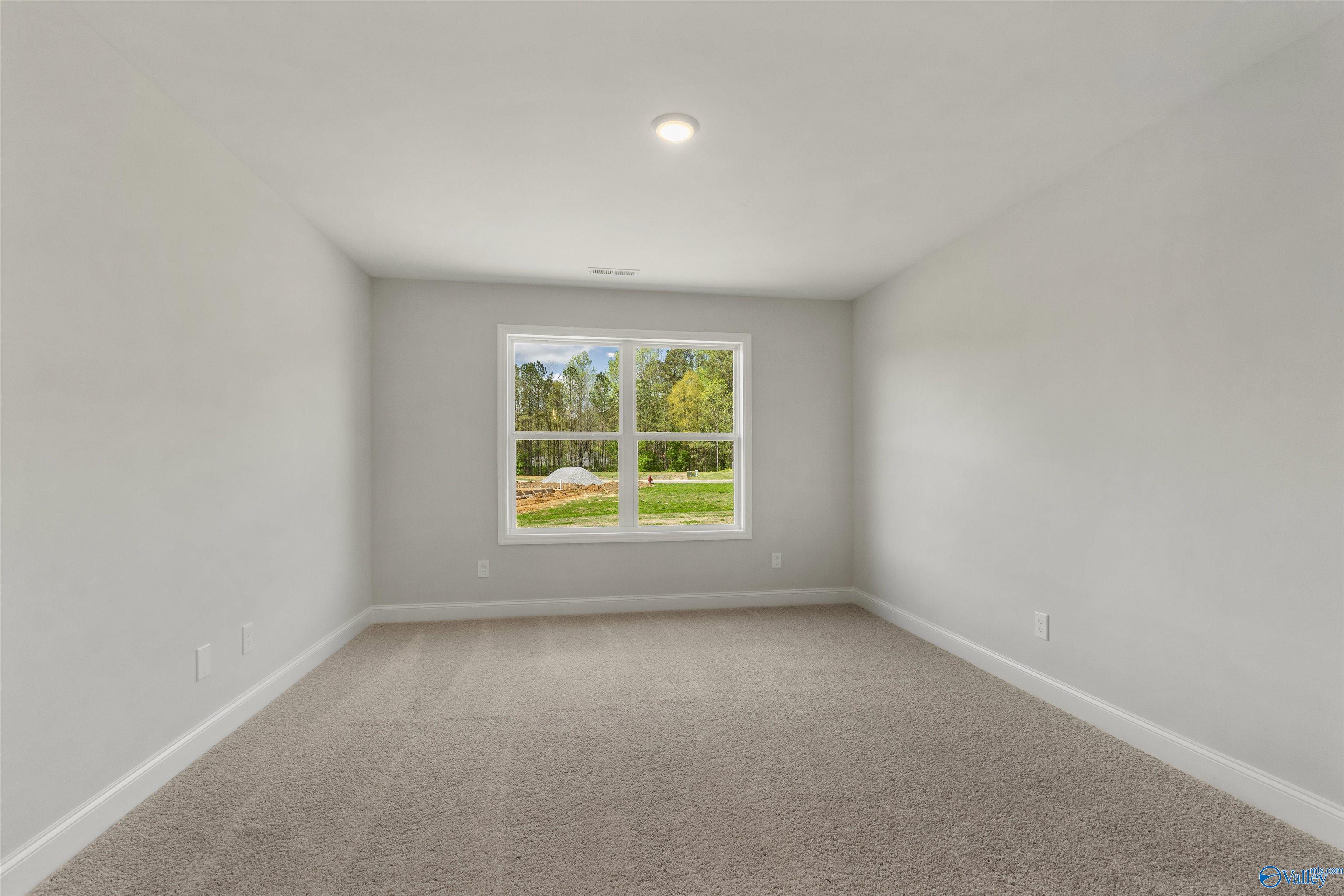 136 Overland Pass, Arab, Alabama image 20