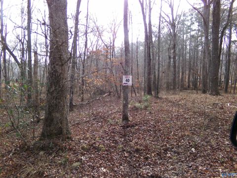 Vacant Land For Sale - LOT 40 County Road 243<br/> Cherokee County, Cedar Bluff, AL 35959