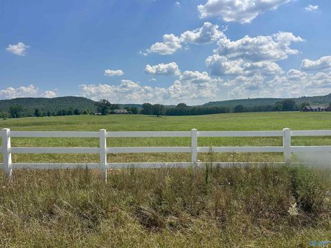 Vacant Land For Sale - TRACT B Old Memphis Pike<br/> Colbert County, Tuscumbia, AL 35674