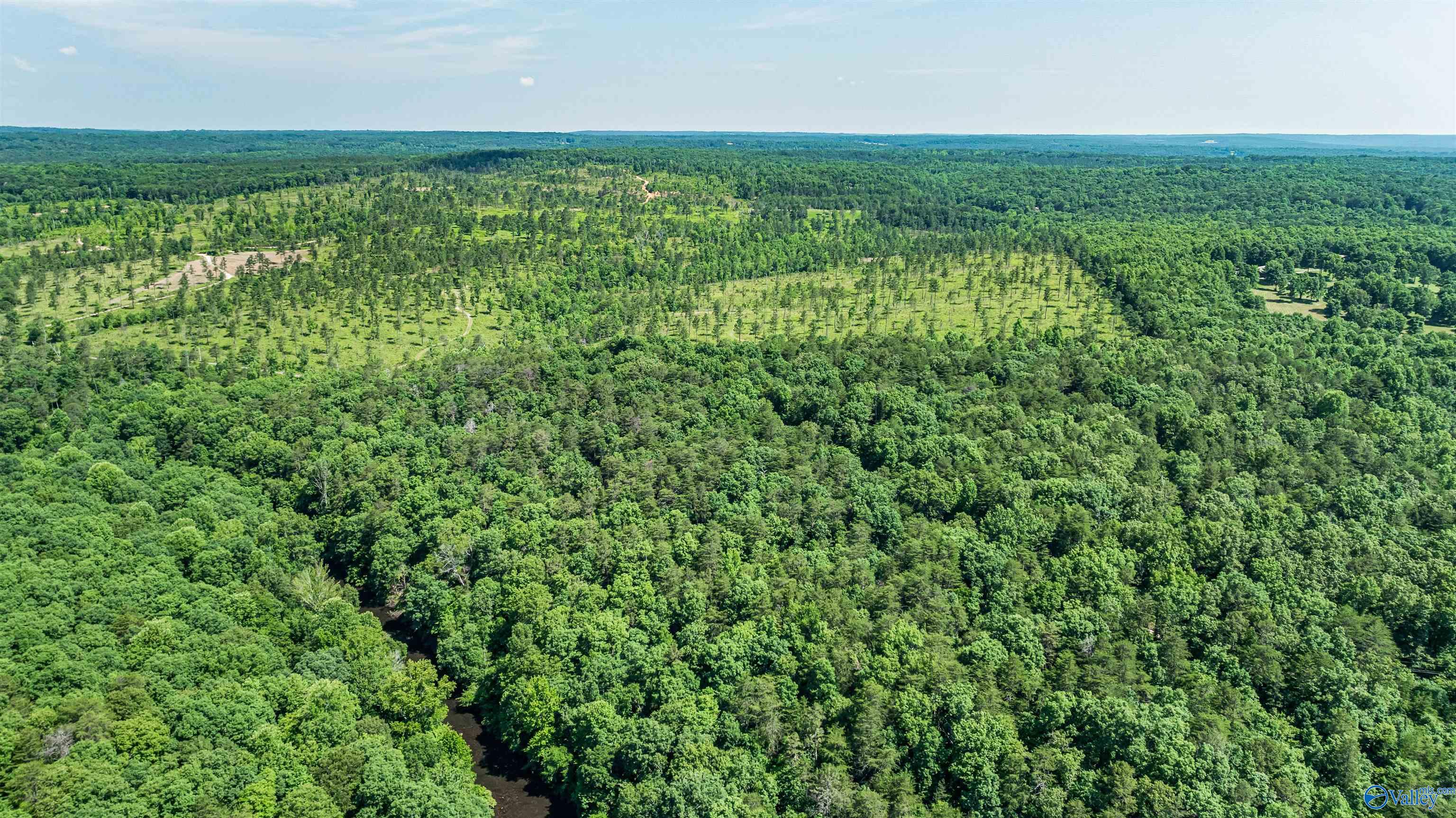 23ACRES County Road 633, Mentone, Alabama image 7