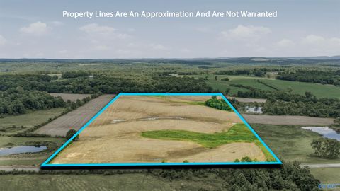 Vacant Land For Sale - 30 ACRES County Road 271<br/> Fort Payne, AL 35967