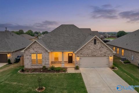 Homes For Sale - 15908 NW Big Ben Drive<br/> Harvest, AL 35749