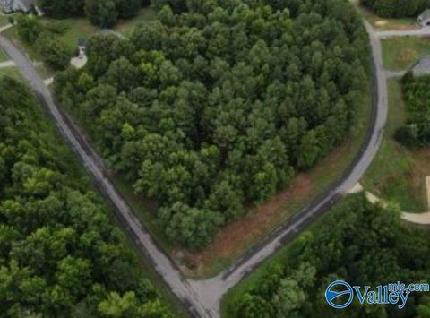 Vacant Land For Sale - 2485 Lookout Mountain Drive<br/> Jackson County, Scottsboro, AL 35769