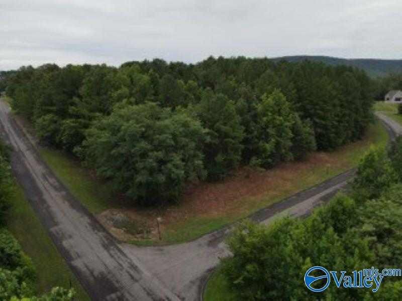 2485 Lookout Mountain Drive, Scottsboro, Alabama image 9