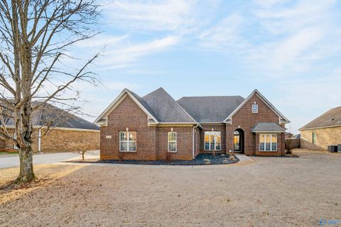 Photo of 120 Meadow Ridge Drive, Hazel Green, AL 35750 (MLS # 21909869)