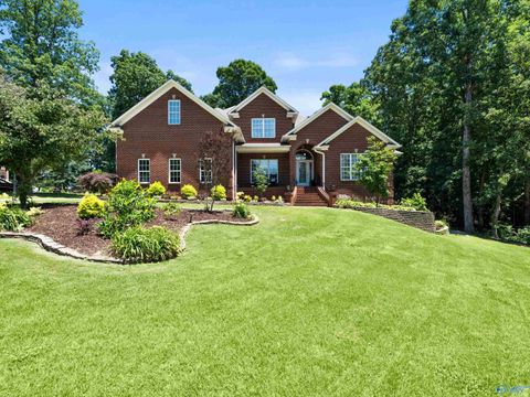 Homes For Sale - 10638 Rosa Lane<br/> Madison, AL 35756