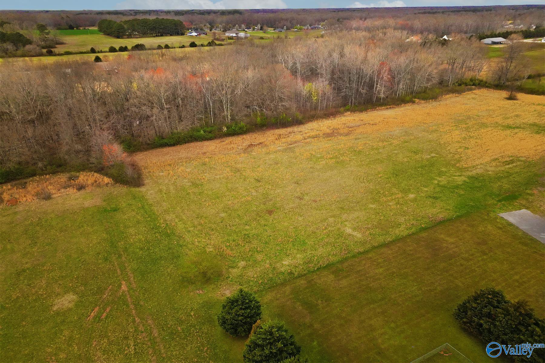 3.3 Sunkist Drive, Hazel Green, Alabama image 1