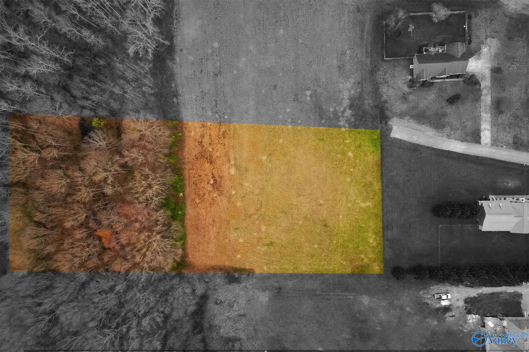 3.3 Sunkist Drive, Hazel Green, Alabama image 2