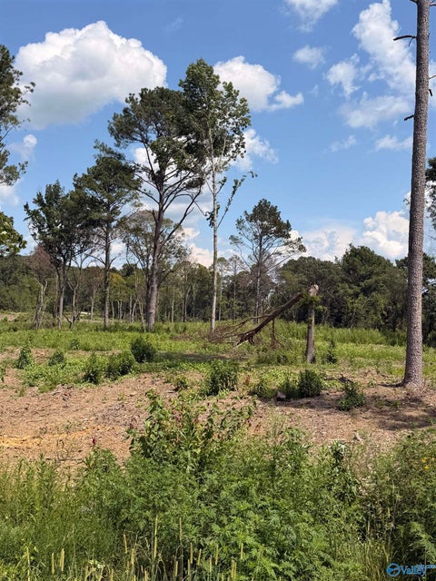 Vacant Land For Sale - LOT 37 County Road 158<br/> Centre, AL 35960