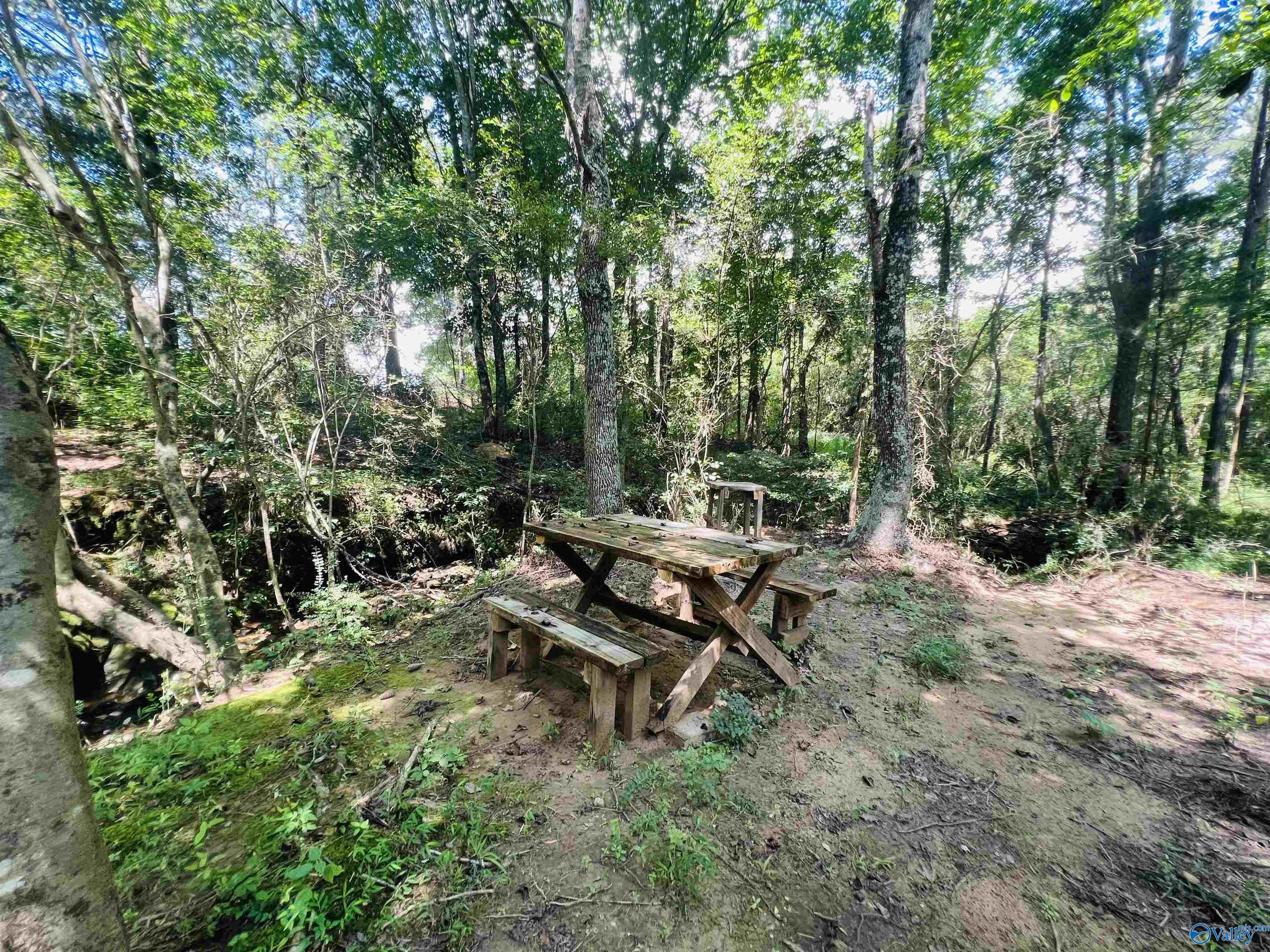 965 County Road 142, Fort Payne, Alabama image 27