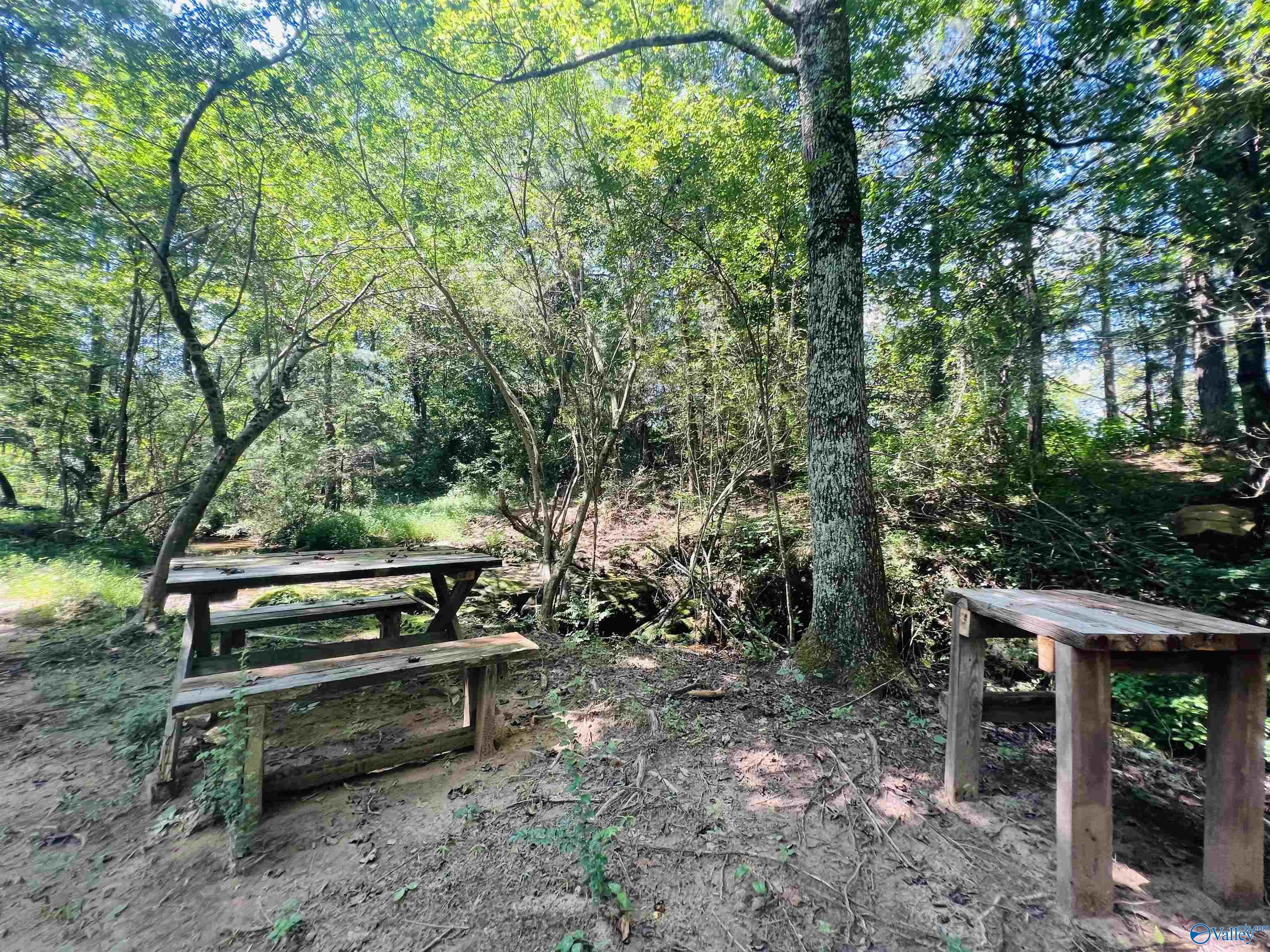 965 County Road 142, Fort Payne, Alabama image 3