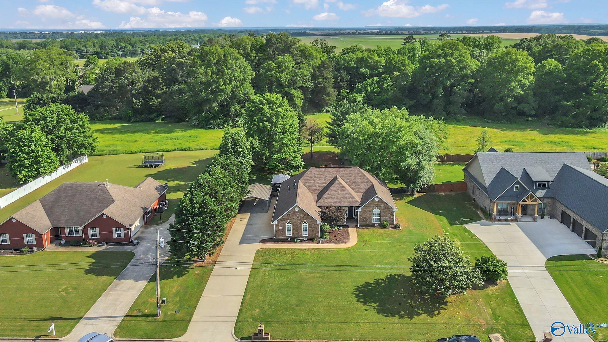 24862 Southern Heritage Lane, Athens, Alabama image 3